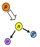 A proton decays into a neutron by emitting a positron and a neutrino